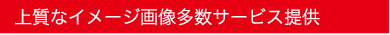 デザイン制作料金＋印刷費＋上質なイメージ画像多数サービス提供