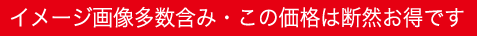 イメージ画像多数含み・この価格は断然お得です